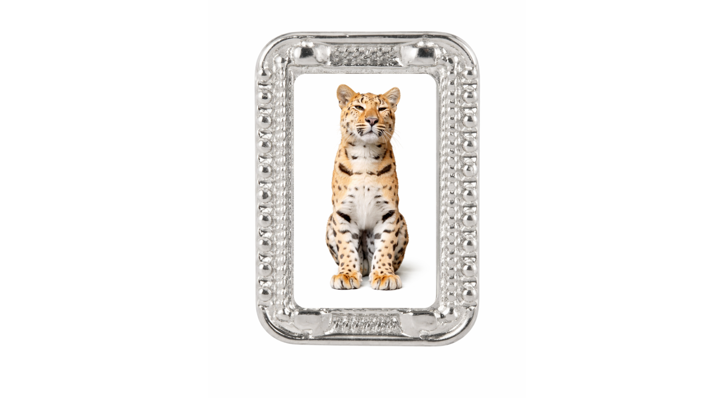 BandzOn X AMI bracelet ( 1 pcs )