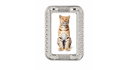 BandzOn X AMI bracelet ( 1 pcs )